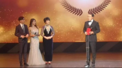 德丰利达集团影视作品再获殊荣，最佳新